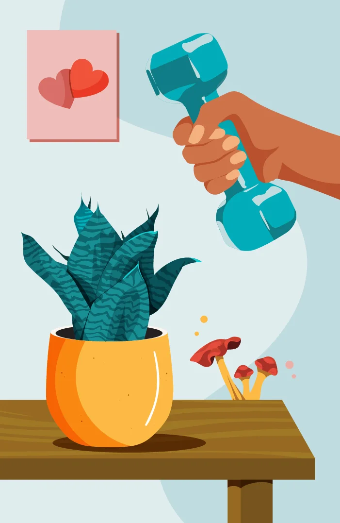 Viagra vs Cialis vs Levitra: Which ED Pill Works Best for You?